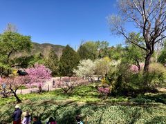 -国家植物园南园