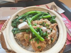 鲜沙姜鸡-华记煲仔华·煲仔饭(人和店)