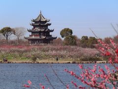 -上海海湾国家森林公园