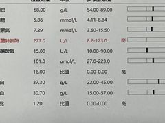 -阿荣24H宠物医院·综合型转诊中心·CT·核磁影像中心