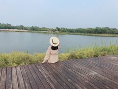 -东郊湿地公园