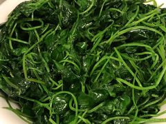 -新聚丰菜馆(太监弄店)