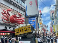 -蟹道乐(道顿堀本店)