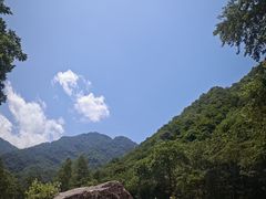 -陕西省红河谷森林公园
