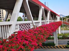 -厦门园林博览苑
