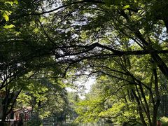 -西溪南古村落景区
