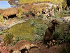 -陕西自然博物馆