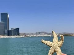 -巧克力渔家.小船海鲜家常菜(万平口店)