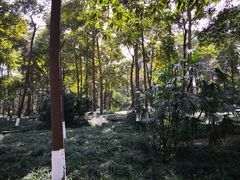 -宝光寺