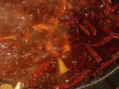 -蜀大侠火锅(总府路店)