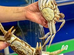 -阳澄湖大闸蟹·琼灵阁牌品牌连锁(吴中总店)