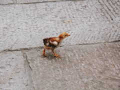 -三里河公园