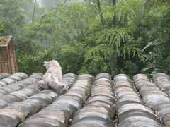 -大罗山风景区