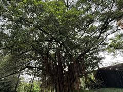 -美的鹭湖森林度假区