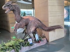 -安徽省地质博物馆