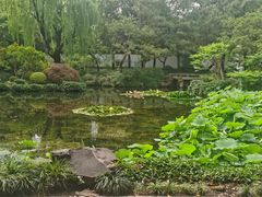 -秋霞圃