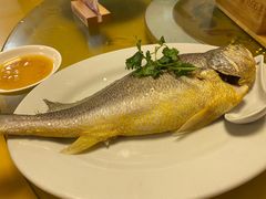 -桂园白粥·潮汕老味道