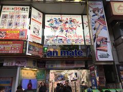 -Animate(秋叶原本馆)