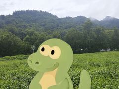 -中国茶叶博物馆(双峰馆区)