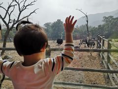 -西安秦岭野生动物园