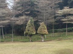 -厦门悦华酒店