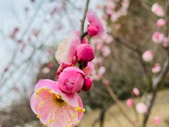 -东方绿舟景区
