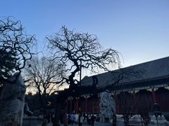 -北京北邮科技大厦