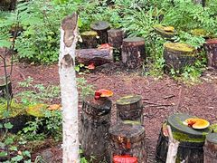 -峡谷浮石林景区