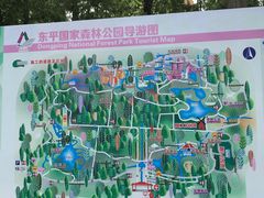 -东平国家森林公园