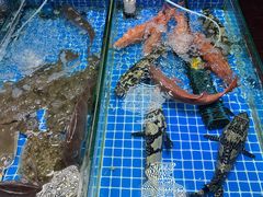 -鑫龙火锅城(青岛分店)