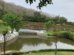 -三亚南山文化旅游区