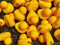 -极乐汤(川沙店)