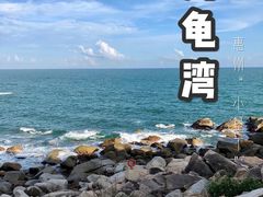 -广东惠东海龟国家级自然保护区