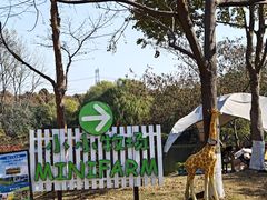 -太阳岛度假酒店