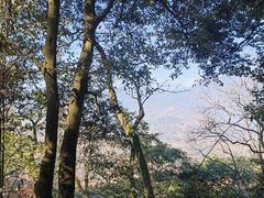 -青城山