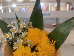 -鹿岛生活(熙地港店)