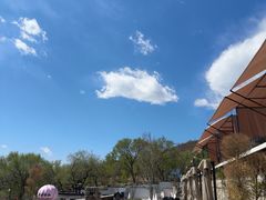 -白水寺森林公园