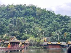 -西双版纳原始森林公园