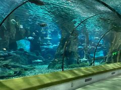 -福州罗源湾海洋世界旅游区