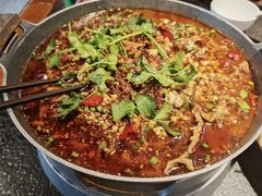 水煮牛肉-万重锦·人文川菜馆(骡马市店)