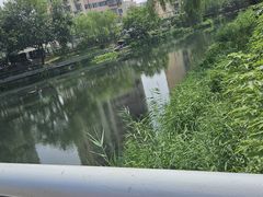 -南长河公园