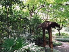 -上海共青森林公园