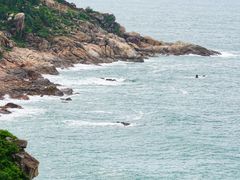 -广东惠东海龟国家级自然保护区