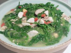 上汤桑叶苗-大榕树下顺德菜(融创茂店)
