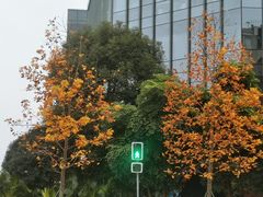 -海椒市落舌·麻辣烫冒菜(武侯大悦城店)