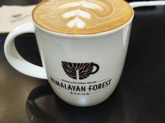 -喜马拉雅森HIMALAYAN FOREST