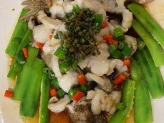 鲜花椒蒸桂花鲈-猪肉婆私房菜(容桂总店)