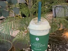 -茉酸奶(春熙路店)