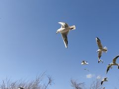 -捞渔河湿地公园