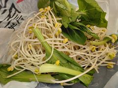 -皖北巫氏三胖地锅鸡(长淮总店)